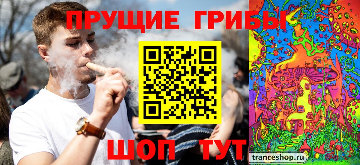 Волхов  Галлюциногенные грибы прущие грибы  Вход с VPN 